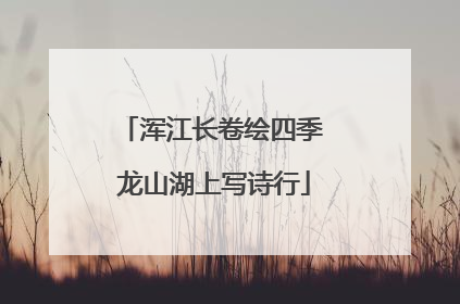 浑江长卷绘四季 龙山湖上写诗行