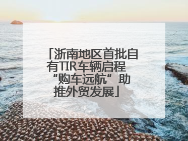浙南地区首批自有TIR车辆启程 “购车远航”助推外贸发展