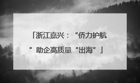 浙江嘉兴：“侨力护航”助企高质量“出海”