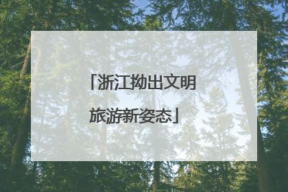 浙江拗出文明旅游新姿态