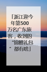 浙江迎今年第500万名广东旅客，收到的“锦鲤礼包”都有啥