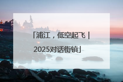 浦江，低空起飞｜2025对话街镇