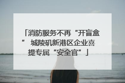 消防服务不再“开盲盒” 城陵矶新港区企业喜提专属“安全官”