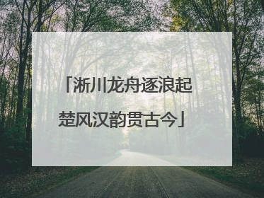 淅川龙舟逐浪起 楚风汉韵贯古今