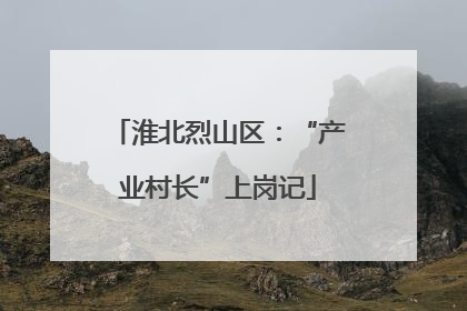 淮北烈山区：“产业村长”上岗记