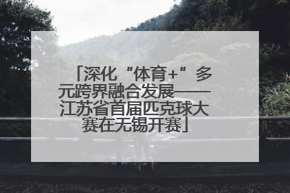 深化“体育+”多元跨界融合发展——江苏省首届匹克球大赛在无锡开赛
