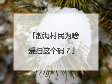 渤海村民为啥爱扫这个码？