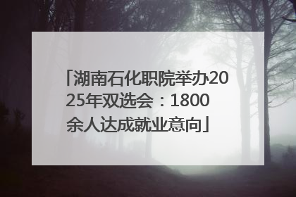 湖南石化职院举办2025年双选会：1800余人达成就业意向