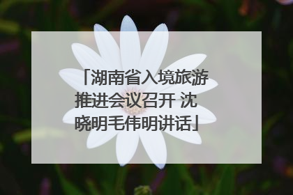 湖南省入境旅游推进会议召开 沈晓明毛伟明讲话