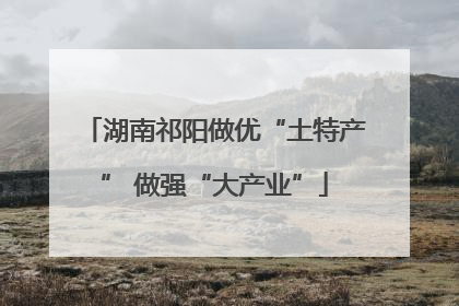 湖南祁阳做优“土特产” 做强“大产业”