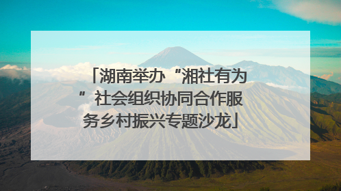 湖南举办“湘社有为”社会组织协同合作服务乡村振兴专题沙龙