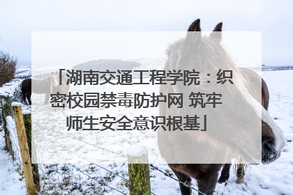 湖南交通工程学院：织密校园禁毒防护网 筑牢师生安全意识根基