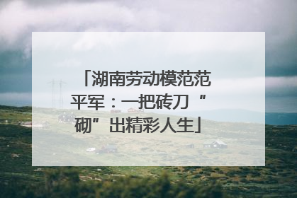 湖南劳动模范范平军：一把砖刀“砌”出精彩人生