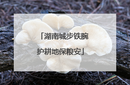湖南城步铁腕护耕地保粮安