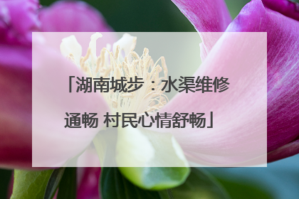 湖南城步：水渠维修通畅 村民心情舒畅