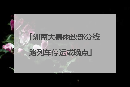 湖南大暴雨致部分线路列车停运或晚点