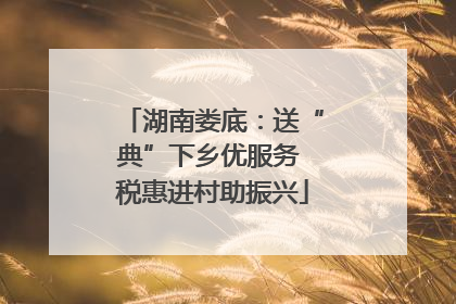 湖南娄底：送“典”下乡优服务 税惠进村助振兴