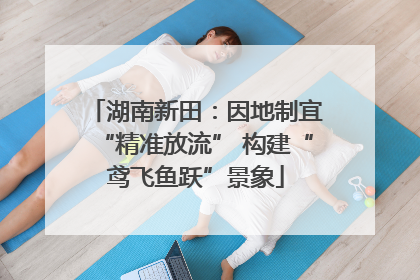 湖南新田：因地制宜“精准放流” 构建“鸢飞鱼跃”景象