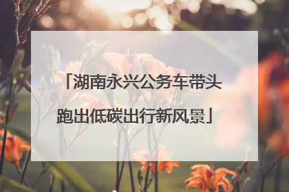 湖南永兴公务车带头跑出低碳出行新风景