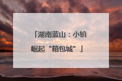 湖南蓝山：小镇崛起“箱包城”