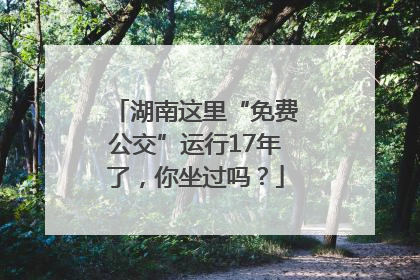 湖南这里“免费公交”运行17年了，你坐过吗？