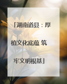 湖南道县：厚植文化底蕴 筑牢文明根基