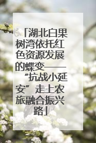 湖北白果树湾依托红色资源发展的蝶变——“抗战小延安”走上农旅融合振兴路