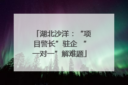 湖北沙洋：“项目警长”驻企 “一对一”解难题