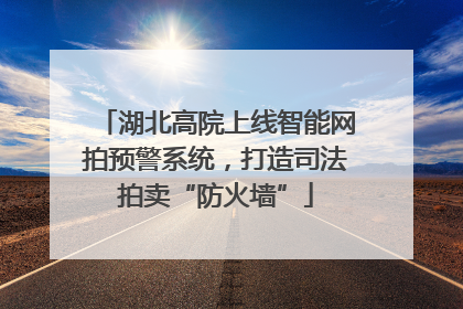 湖北高院上线智能网拍预警系统，打造司法拍卖“防火墙”