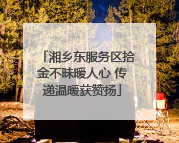 湘乡东服务区拾金不昧暖人心 传递温暖获赞扬