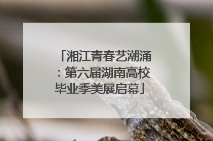 湘江青春艺潮涌：第六届湖南高校毕业季美展启幕