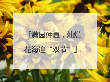 满园仲夏，灿烂花海迎“双节”