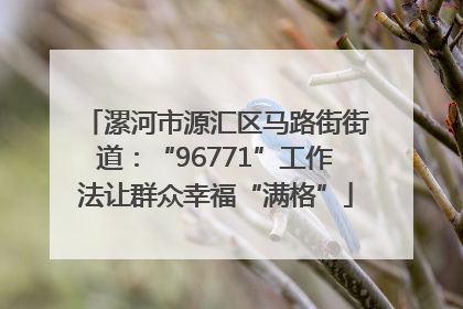 漯河市源汇区马路街街道：“96771”工作法让群众幸福“满格”