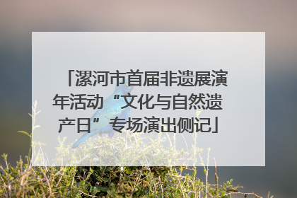 漯河市首届非遗展演年活动“文化与自然遗产日”专场演出侧记