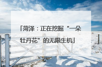 菏泽：正在挖掘“一朵牡丹花”的无限生机