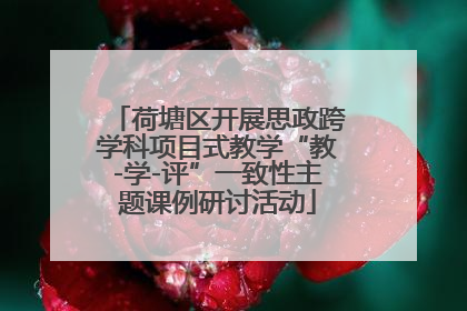 荷塘区开展思政跨学科项目式教学“教-学-评”一致性主题课例研讨活动