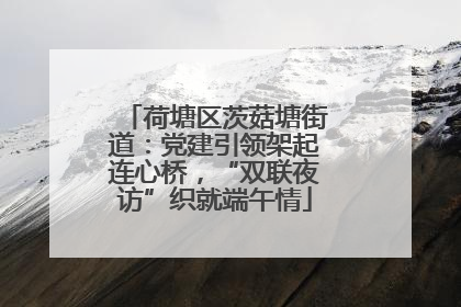 荷塘区茨菇塘街道：党建引领架起连心桥，“双联夜访”织就端午情