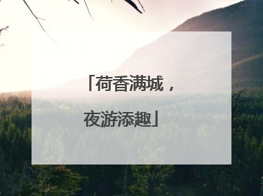 荷香满城，夜游添趣