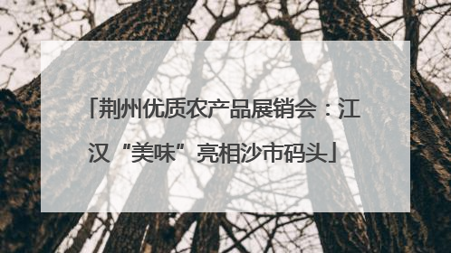 荆州优质农产品展销会：江汉“美味”亮相沙市码头