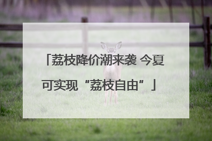 荔枝降价潮来袭 今夏可实现“荔枝自由”