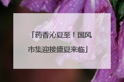 药香沁夏至！国风市集迎接盛夏来临