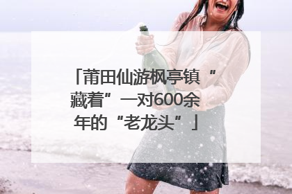 莆田仙游枫亭镇“藏着”一对600余年的“老龙头”