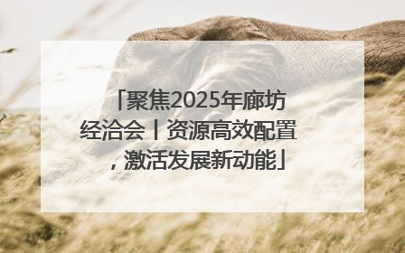 聚焦2025年廊坊经洽会丨资源高效配置，激活发展新动能