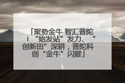 聚势金牛 智汇普陀〡“始发站”发力、“创新田”深耕，普陀科创“金牛”闪耀