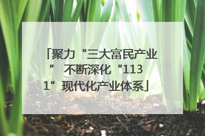 聚力“三大富民产业” 不断深化“1131”现代化产业体系