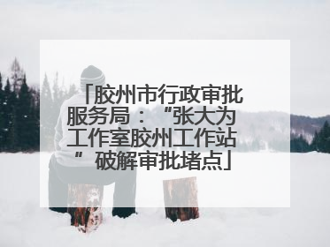 胶州市行政审批服务局：“张大为工作室胶州工作站”破解审批堵点