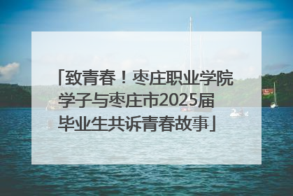 致青春！枣庄职业学院学子与枣庄市2025届毕业生共诉青春故事