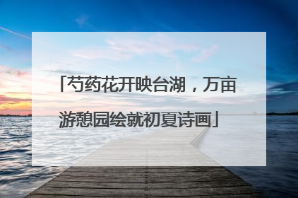 芍药花开映台湖，万亩游憩园绘就初夏诗画