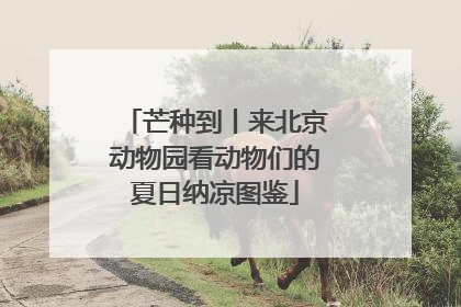 芒种到丨来北京动物园看动物们的夏日纳凉图鉴
