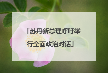 苏丹新总理呼吁举行全面政治对话